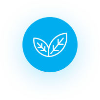Natural Ingredients Icon
