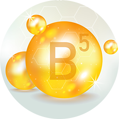 Image of PRO VITAMIN B-5